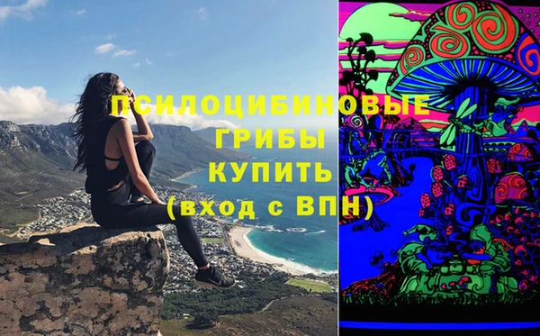 мяу мяу мука Верхний Тагил